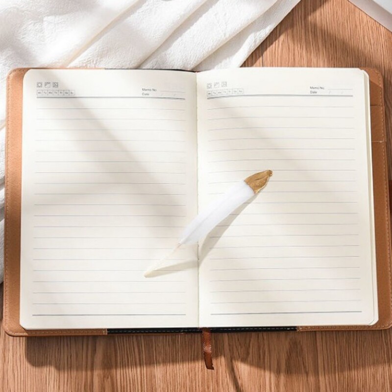 Nodrošiniet savas domas: A5 retro ar paroli aizsargāta piezīmjdatora dienasgrāmata ar slēdzeni un sabiezinātu radošo žurnālu grāmatu studentiem