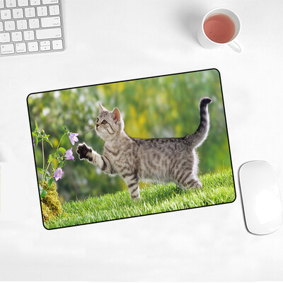 Drăguț Pisică Mouse Pad Picture Pad Laptop Slip 220x180x2mm Covoraș pentru Cs Go/work Gaming Nou Kawaii Decorare birou Covor Mouse Mat