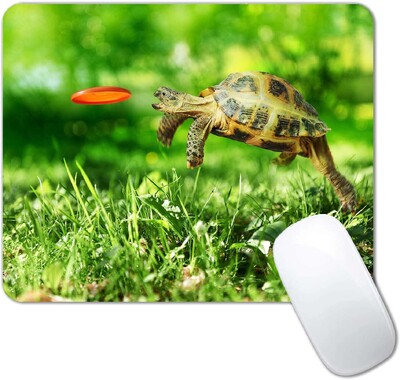 Vicces Aranyos Állatok Nyomtatás Négyzet alakú egérpadok Lock Edge Gaming Egérpad Egéralátét Billentyűzet Szőnyeg Asztali pad 30x25cm