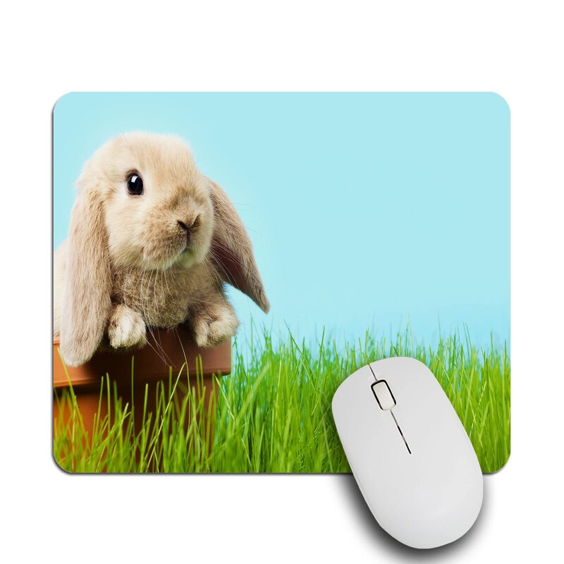Se vând la cald Animale drăguțe și amuzante Imprimare Tampoane de mouse pătrate Tampă de mouse confortabilă pentru jocuri Covoraș de mouse Covoraș de tastatură Tampoane de birou 22x18cn