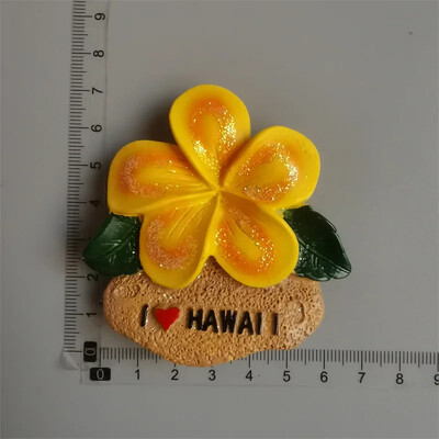 Magneți pentru frigider din SUA Hawaii Maui O` AHU Saipan Suveniruri turistice Cadouri pentru decorarea casei