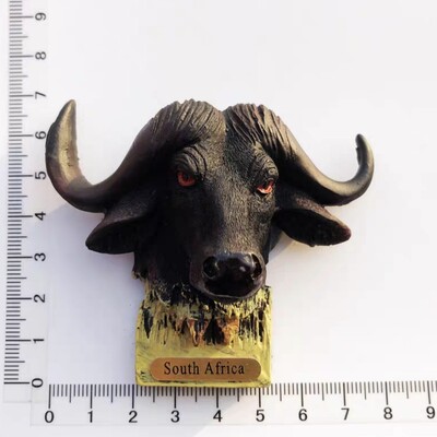 Africa de Sud Suvenir turistic Autocolant magnetic Frigider Articole de decorare pentru frigider Articole de artizanat Cadouri