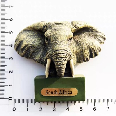 Africa de Sud Suvenir turistic Autocolant magnetic Frigider Articole de decorare pentru frigider Articole de artizanat Cadouri