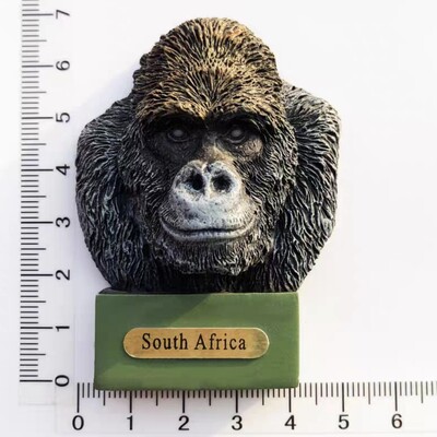 Africa de Sud Suvenir turistic Autocolant magnetic Frigider Articole de decorare pentru frigider Articole de artizanat Cadouri