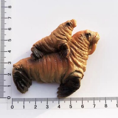 Africa de Sud Suvenir turistic Autocolant magnetic Frigider Articole de decorare pentru frigider Articole de artizanat Cadouri