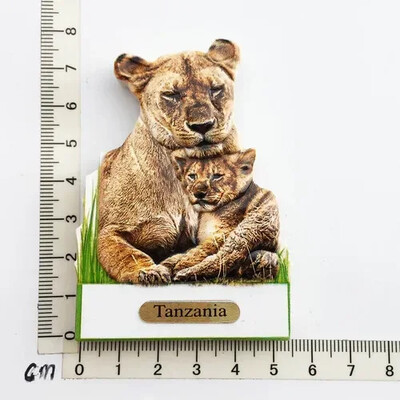 Magnet pentru frigider Tanzania africană Peisaj de oraș Suveniruri turistice Magnet Autocolante pentru frigider Colecție Cadouri Decorațiuni pentru casă