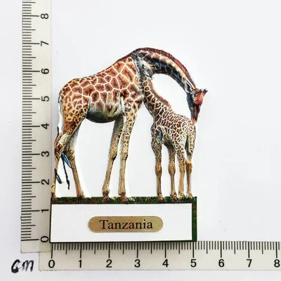 Magnet pentru frigider Tanzania africană Peisaj de oraș Suveniruri turistice Magnet Autocolante pentru frigider Colecție Cadouri Decorațiuni pentru casă