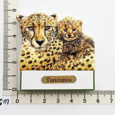Magnet pentru frigider Tanzania africană Peisaj de oraș Suveniruri turistice Magnet Autocolante pentru frigider Colecție Cadouri Decorațiuni pentru casă