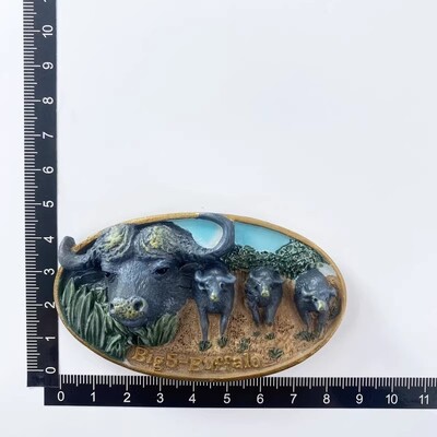 Africa de Sud Magneți pentru frigider Cape Town Table Mountain Suveniruri de călătorie Autocolante pentru frigider Fotografii de perete Autocolante magnetice Cadouri