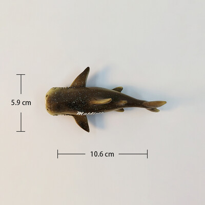 Maldive, organisme marine, stereoscopic 3D, meșteșuguri, comemorare de călătorie, decor acasă, magnet amuzant, magneți de frigider