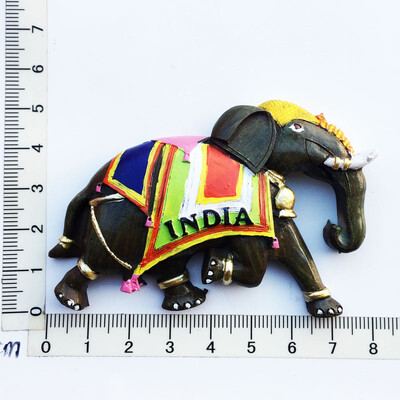 Asia India Suveniruri Turistice Magneti Frigider Articole Decoratiuni Artizanat Magnetic Frigider Colectie Cadouri