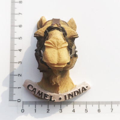 Asia India Suveniruri Turistice Magneti Frigider Articole Decoratiuni Artizanat Magnetic Frigider Colectie Cadouri