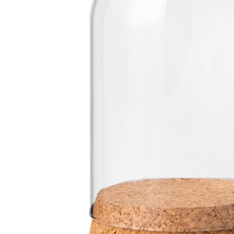 Cupola decorativă din sticlă transparentă din sticlă Cloche Clopot Borcan Display Dome Sticle transparente