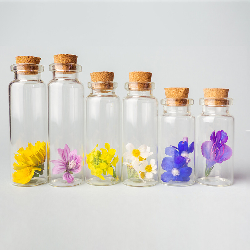 5 tk 5/10/15/20 ml jõulusoovide pudelid väikesed tühjad läbipaistvast klaaspudelid viaalid pühade pulmadeks kodukaunistamise kingituste pudelid