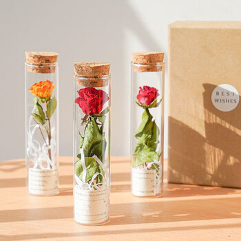 Clear Glass Bottle with Cork Stopper Dry Flower Storage Bottle Wishing Drifting Bottles for Wedding Favors Decor Party DIY Craft