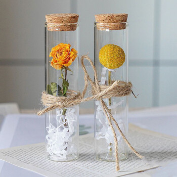 Clear Glass Bottle with Cork Stopper Dry Flower Storage Bottle Wishing Drifting Bottles for Wedding Favors Decor Party DIY Craft