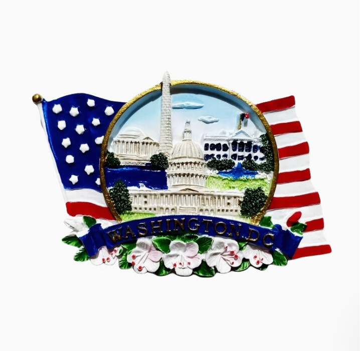 Drapelul Washington Eagle Of The United Pictat manual Magneți pentru frigider 3D Suveniruri pentru turism Irlanda Autocolante magnetice pentru frigider