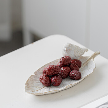 Ρητίνη Bird Feather Tray - Κομψή οργάνωση πολλαπλών χρήσεων για τη διακόσμηση του σπιτιού, τα καλλυντικά και την αποθήκευση κοσμημάτων