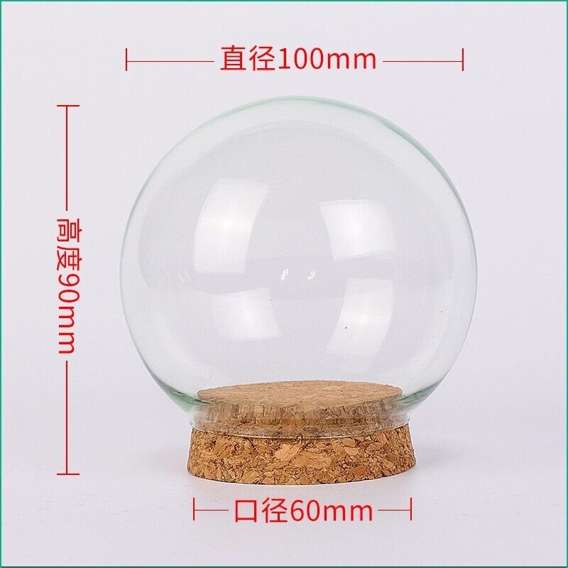 1 buc 50mm 65mm 80mm 100mm 120mm DIY sticla cu bile de sticla Globul de apa gol Globul de zapada de Craciun Facerea globului de sticla gol cu borcan de pluta