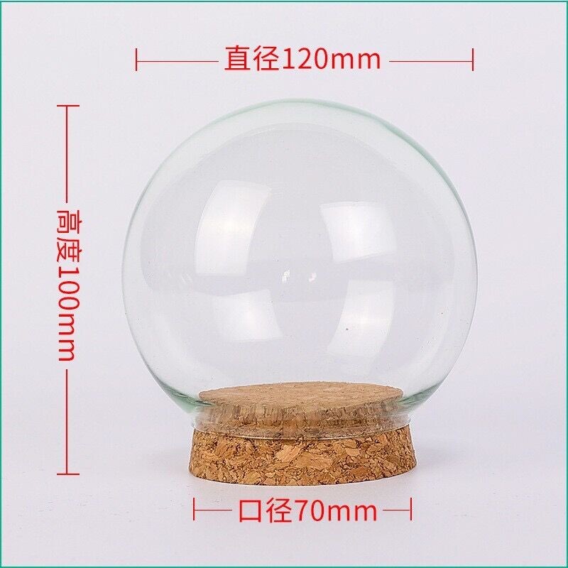 1 buc 50mm 65mm 80mm 100mm 120mm DIY sticla cu bile de sticla Globul de apa gol Globul de zapada de Craciun Facerea globului de sticla gol cu borcan de pluta