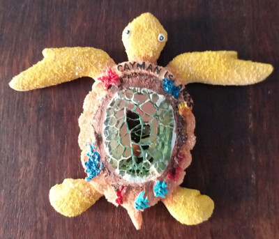 Țestoasă cu vedere la mare Suvenir turistic Magneți pentru frigider Articole de decorare Artizanat Artizanat Frigider magnetic de colecție Cadouri