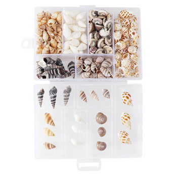 Mix Style Natural Shell 1-3cm 1 BOX Natural Conch Shells Mini Conch Corn Screw Διακόσμηση τοίχου DIY Ενυδρείο Landscape Seashells