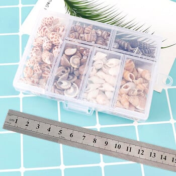 Mix Style Natural Shell 1-3cm 1 BOX Natural Conch Shells Mini Conch Corn Screw Διακόσμηση τοίχου DIY Ενυδρείο Landscape Seashells