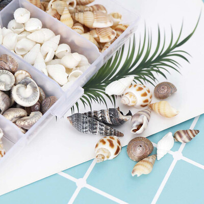 Mix Style Natural Shell 1-3cm 1 CUTIE Natural Conch Shells Mini Conch Porumb Surub Decorare perete DIY Acvariu Peisaj Scoici
