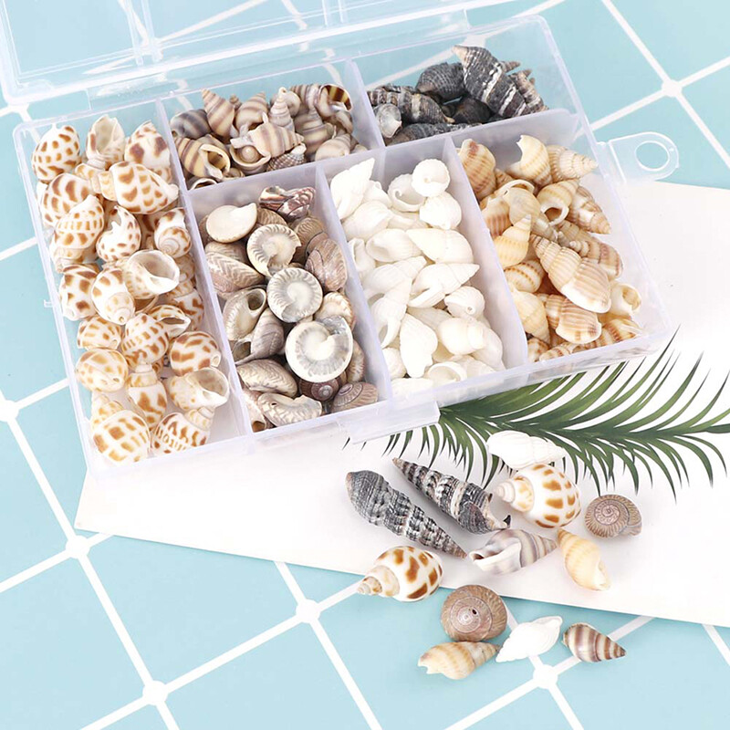 Mix Style Natural Shell 1-3cm 1 CUTIE Natural Conch Shells Mini Conch Porumb Surub Decorare perete DIY Acvariu Peisaj Scoici