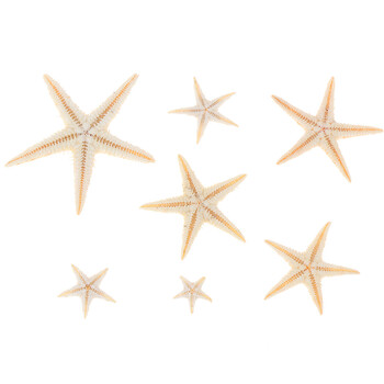 Μέγεθος θαλάσσιων οστράκων:0,5-3cm 100τμχ Mini Starfish Craft Decoration Natural Sea Stars