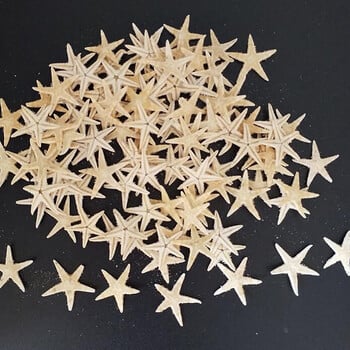 Μέγεθος θαλάσσιων οστράκων:0,5-3cm 100τμχ Mini Starfish Craft Decoration Natural Sea Stars