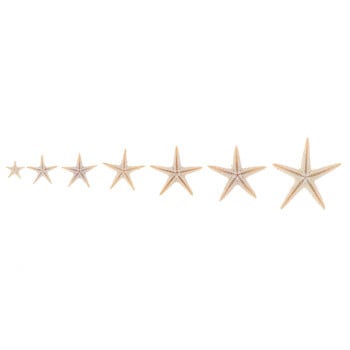 Μέγεθος θαλάσσιων οστράκων:0,5-3cm 100τμχ Mini Starfish Craft Decoration Natural Sea Stars