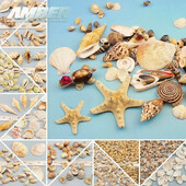 Natural Mini Conch Mediteraneeană 1 Bag Interesant Colorat Mixt Reale Mici Cochilii Acvariu Ornamente Nautice