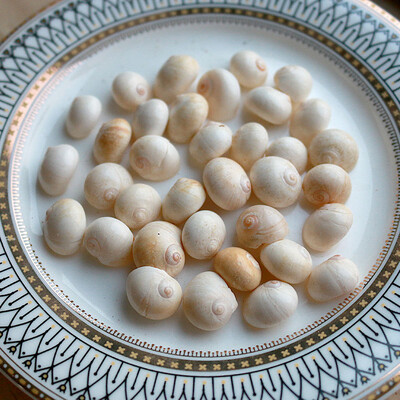 Natural Mini Conch Mediteraneeană 1 Bag Interesant Colorat Mixt Reale Mici Cochilii Acvariu Ornamente Nautice