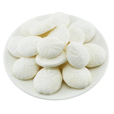 Natural Mini Conch Mediteraneeană 1 Bag Interesant Colorat Mixt Reale Mici Cochilii Acvariu Ornamente Nautice