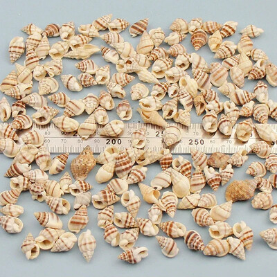 Natural Mini Conch Mediteraneeană 1 Bag Interesant Colorat Mixt Reale Mici Cochilii Acvariu Ornamente Nautice