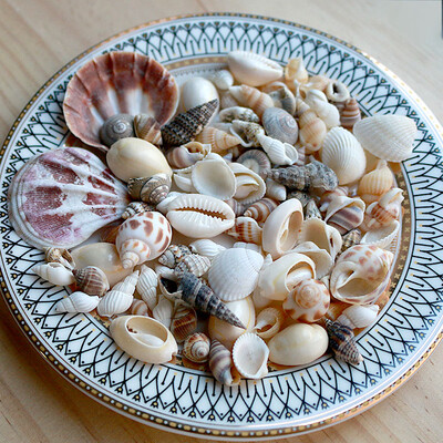 Natural Mini Conch Mediteraneeană 1 Bag Interesant Colorat Mixt Reale Mici Cochilii Acvariu Ornamente Nautice