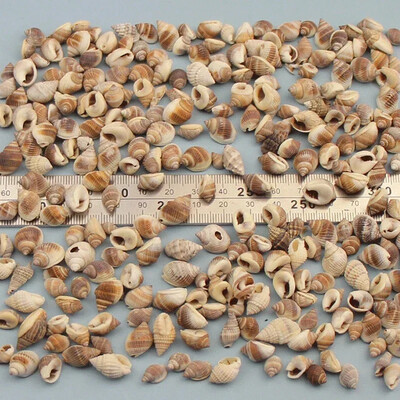 Natural Mini Conch Mediteraneeană 1 Bag Interesant Colorat Mixt Reale Mici Cochilii Acvariu Ornamente Nautice