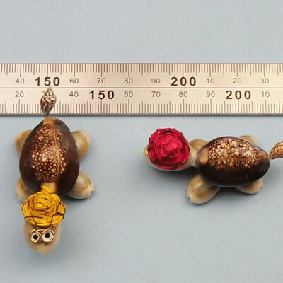 Natural Mini Conch Mediteraneeană 1 Bag Interesant Colorat Mixt Reale Mici Cochilii Acvariu Ornamente Nautice