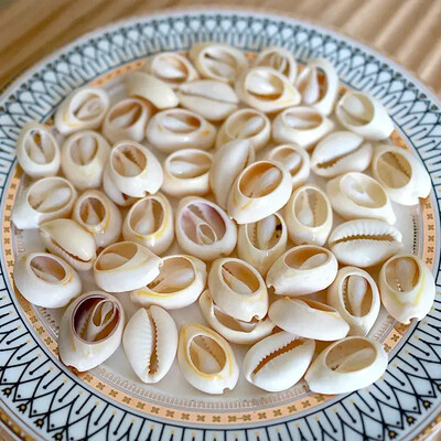 Natural Mini Conch Mediteraneeană 1 Bag Interesant Colorat Mixt Reale Mici Cochilii Acvariu Ornamente Nautice