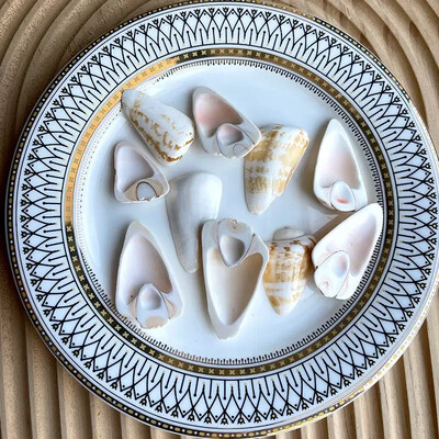 Natural Mini Conch Mediteraneeană 1 Bag Interesant Colorat Mixt Reale Mici Cochilii Acvariu Ornamente Nautice