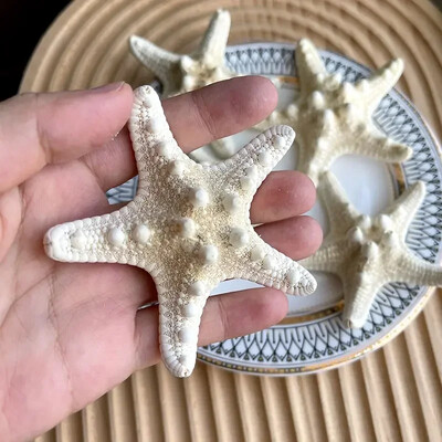 Natural Mini Conch Mediteraneeană 1 Bag Interesant Colorat Mixt Reale Mici Cochilii Acvariu Ornamente Nautice