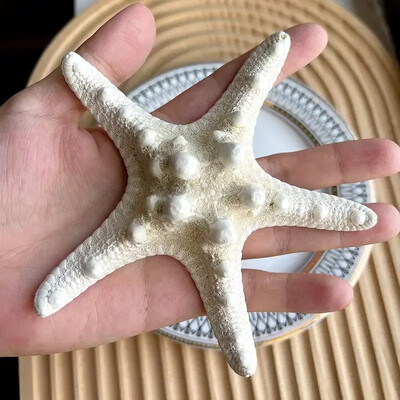 Natural Mini Conch Mediteraneeană 1 Bag Interesant Colorat Mixt Reale Mici Cochilii Acvariu Ornamente Nautice