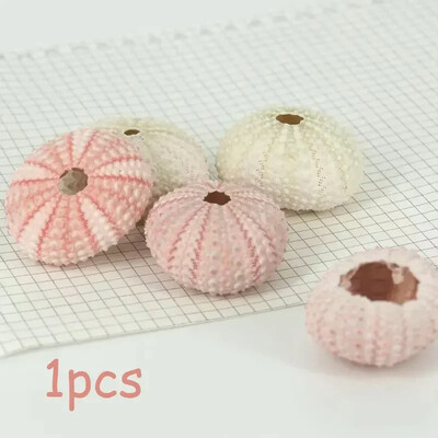 Natural Mini Conch Mediteraneeană 1 Bag Interesant Colorat Mixt Reale Mici Cochilii Acvariu Ornamente Nautice