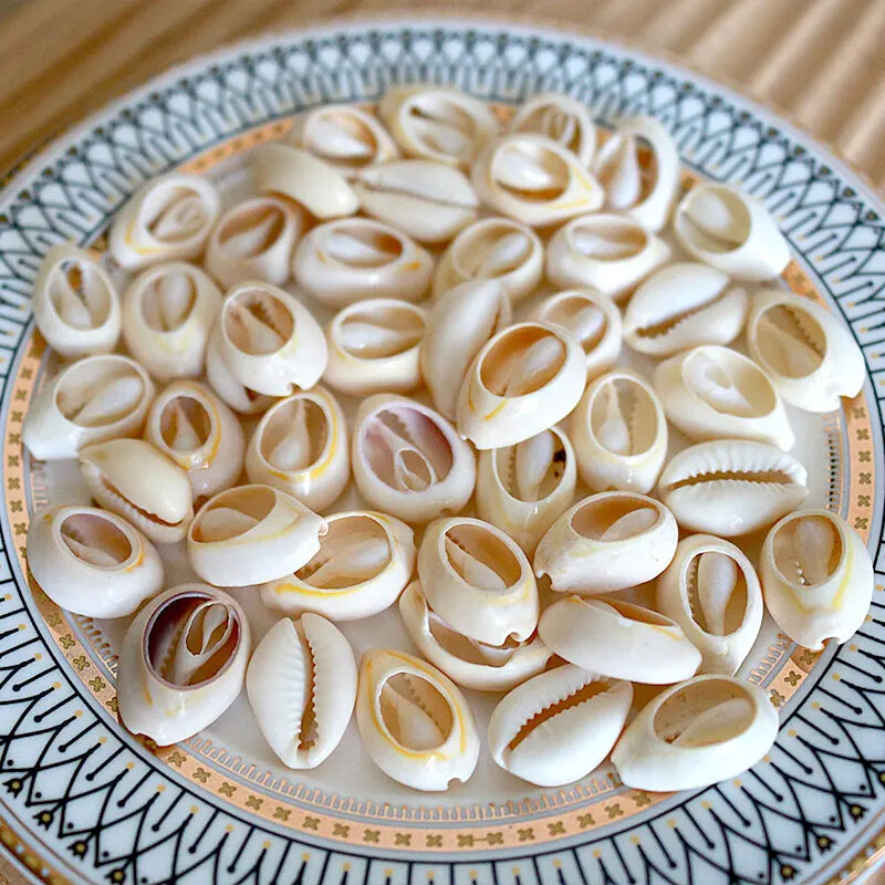 Natural Mini Conch Mediteraneeană 1 Bag Interesant Colorat Mixt Reale Mici Cochilii Acvariu Ornamente Nautice