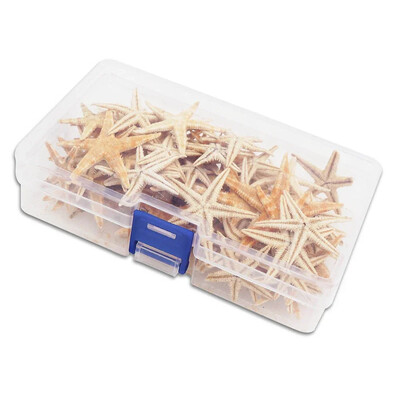 1 cutie 20/50/100 buc. Cutii cu stele de mare naturale, decorațiuni pentru artizanat de plajă, stele naturale de mare, petrecere de nuntă, bricolaj, artizanat pe plajă, decorațiuni pentru casă