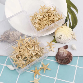 20/50/100pcs Starfish Natural Starfish Seashell Beach Craft Natural Sea Stars DIY Beach Wedding Decor Crafts Home Decor Epo