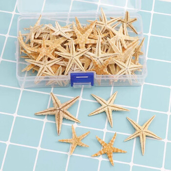 20/50/100pcs Starfish Natural Starfish Seashell Beach Craft Natural Sea Stars DIY Beach Wedding Decor Crafts Home Decor Epo