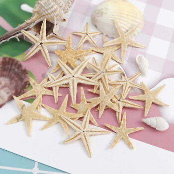 20/50/100pcs Starfish Natural Starfish Seashell Beach Craft Natural Sea Stars DIY Beach Wedding Decor Crafts Home Decor Epo