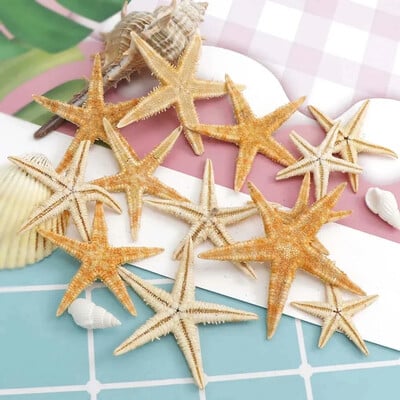 20/50/100db Starfish Natural Starfish Seashell Beach Craft Natural Sea Stars DIY Beach Esküvői Dekoráció Kézműves Otthon Decor Epo